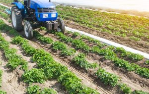 Case Study: How Our Tractors Helped Increase Farm Productivity
