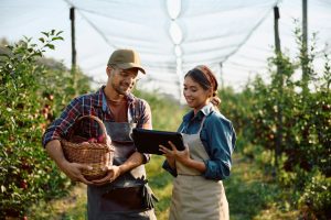 Maximizing Harvest: A Guide to Seasonal Produce Cultivation with Efficient Farming Equipment