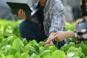 Sustainable Farming Practices: How Tractor Giants Supports Eco-Friendly Agriculture